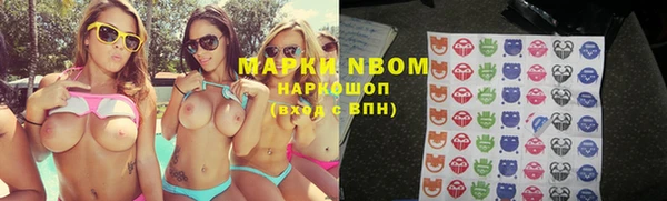 не бодяженный Бородино