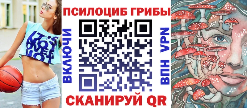 Псилоцибиновые грибы прущие грибы  сайты даркнета Telegram  Верхняя Пышма 